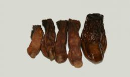 Rùng mình với đồ uống ngâm ngón chân người  