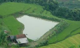 Thửa ruộng bậc thang hình trái tim  