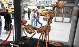 Những bộ xương trong tư thế "nhạy cảm"  