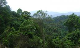 Những chuyện kỳ bí về “rừng ma” của người Vân Kiều