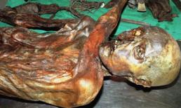 Người băng Otzi ăn gì trước khi chết?