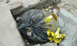 Hà Nội: Lại có bé sơ sinh bị vứt trong bãi rác