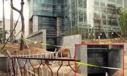 Cận cảnh tòa tháp EVN ám khói của