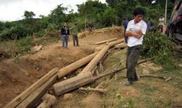 “Chắc chắn có một đường dây kiểm lâm thông đồng lâm tặc”