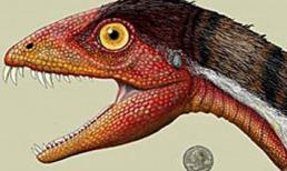 5 loài động vật mới kỳ lạ nhất 2011