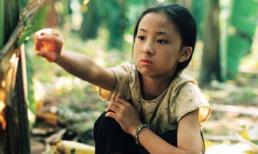 Ai sẽ đăng quang trong Liên hoan phim Việt Nam lần thứ 17?