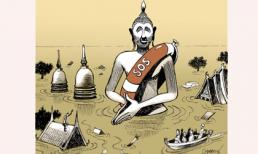 Biếm họa thế giới tuần 51