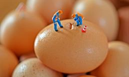 Chùm cười “hở 10 cái răng”