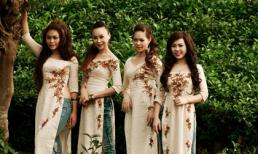 "Mặt trời đỏ" trên những đồi chè Thái Nguyên