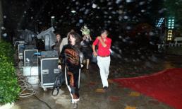 Các sao bỏ thảm đỏ đi... trú mưa