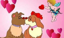 Blog cho hai người 