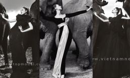 Nghi án đạo ý tưởng của Vietnam’s Next Top Model