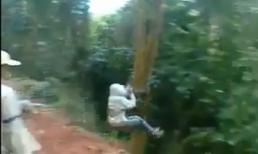 Chơi trò "Tarzan", teen rơi vèo xuống vực
