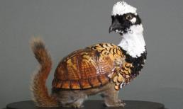 Những động vật "lai" kỳ thú