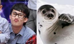 "CƯỜI NÓNG" 10h10: Khi Sao "làm đỏm" trước paparazzi (P4)