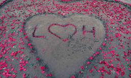 Màn tỏ tình bằng 600 bông hồng dưới cầu Long Biên