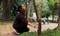 Kỳ lạ với những cây ổi biết... “cười”!