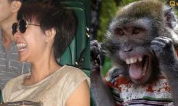 "CƯỜI NÓNG" 10h10: Khoảnh khắc "đụng hàng" của Sao Việt (P6)