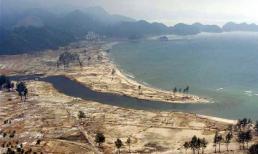 Cô gái bị sóng thần cuốn trôi trở về sau 7 năm