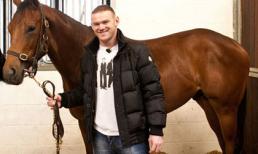 Rooney thể hiện đẳng cấp dân chơi