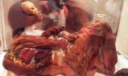 Những xác ướp kì lạ nhất thế giới