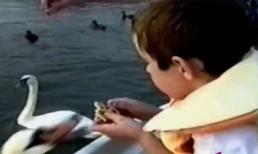 Những sự cố ngoài ý muốn