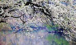 Những phong cảnh thiên nhiên mê hồn người