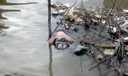 Phát hiện xác chết nữ không đầu, tay, chân