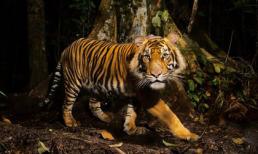 10 bức ảnh thiên nhiên đẹp nhất tháng 11