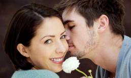 Những điều khái quát về cánh mày râu mà bạn nên biết