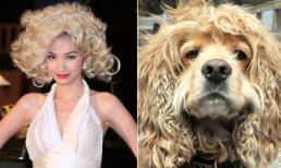 'Giật mình' ngắm phiên bản 2.0 của Sao Việt! (P1)