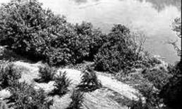 Kinh hoàng kẻ giết người bằng rựa: Thêm nhiều, nhiều thi thể (kỳ3)