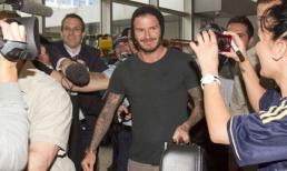CĐV Australia vây kín sân bay đón David Beckham 