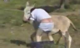 Những tình huống chết cười vì bất ngờ