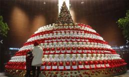 Những cây thông Giáng sinh độc đáo trên thế giới