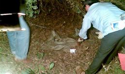 Mẹ giết con, giải thoát dân làng khỏi kẻ điên