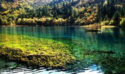 Mê hoặc trước "thiên đường hạ giới"