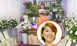 Diễn viên phim "Vườn sao băng" qua đời 