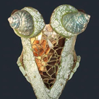 "Choáng" với áo lót