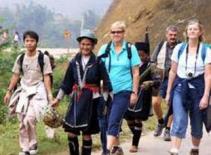 Tạm dừng đại hội Hiệp hội Du lịch VN