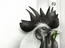 Ngỡ ngàng với tranh vẽ chì y như ảnh chụp