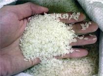 Hạ giá sàn xuất khẩu gạo