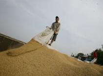 Tăng giá sàn xuất khẩu gạo