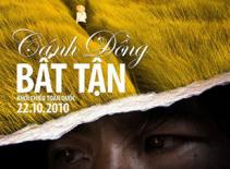 "Cánh đồng bất tận" tràn ngập đĩa lậu