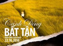 Xuất hiện đĩa lậu “Cánh đồng bất tận”