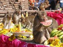 Điểm danh những tập tục kỳ quặc trên thế giới