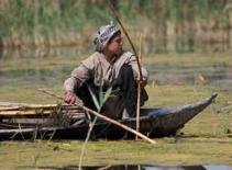 Phim về đời sống hoang dã Iraq đoạt giải thưởng lớn