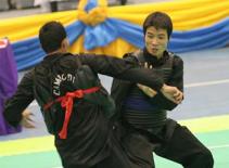 Việt Nam giành 11 HCV tại giải Pencak Silat châu Á lần I-2011