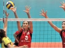 Khan hiếm tài năng trẻ