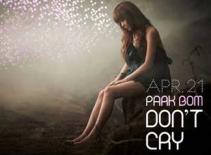 Đếm ngược thời điểm tung chưởng của Park Bom (2NE1)